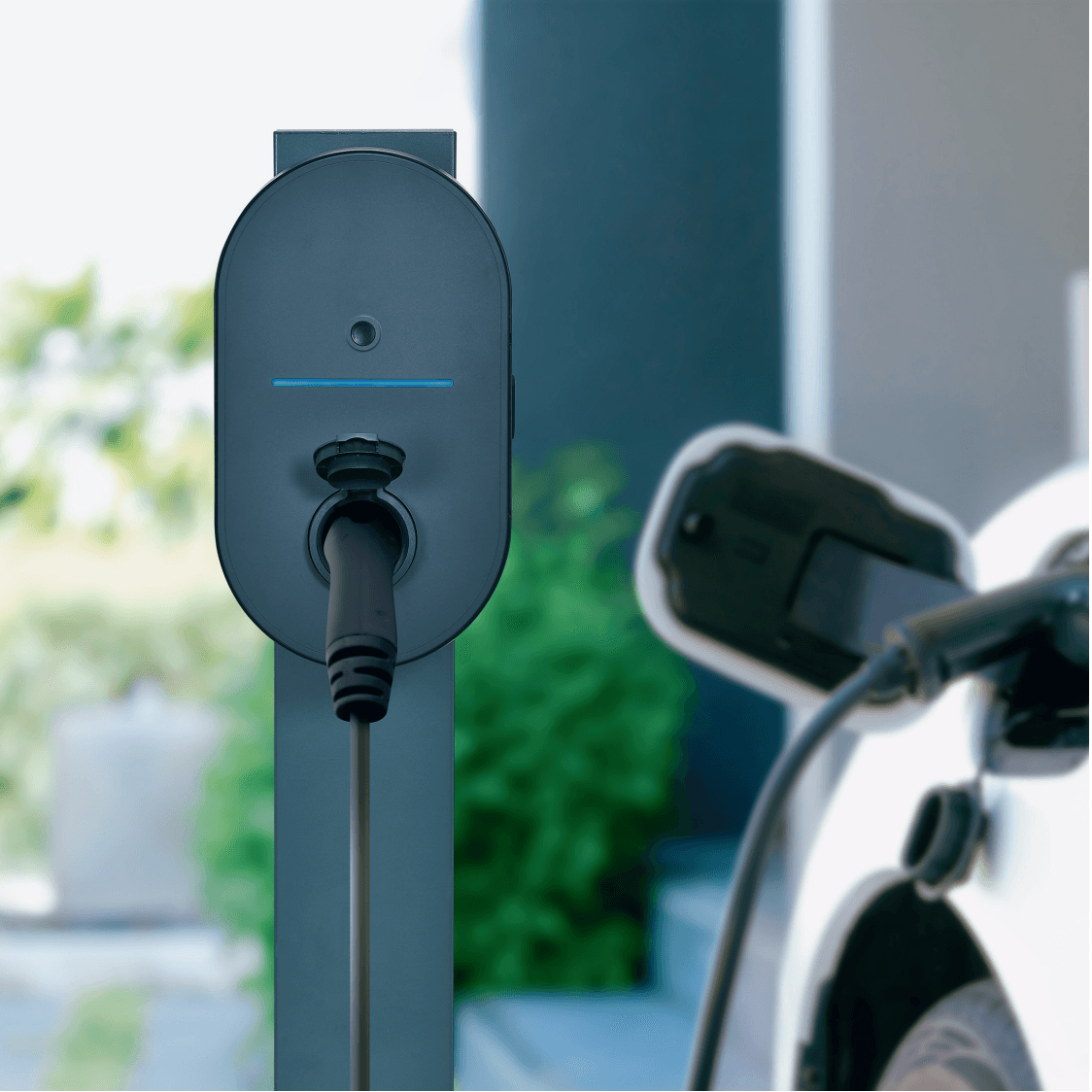 Default Service Image